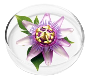 Nervovive Passion Flower