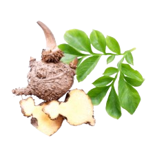 Bevital_Cleanse_ProKonjac_Root_s_Powder