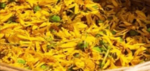 Cool Ease Arnica Montana Flower Extract