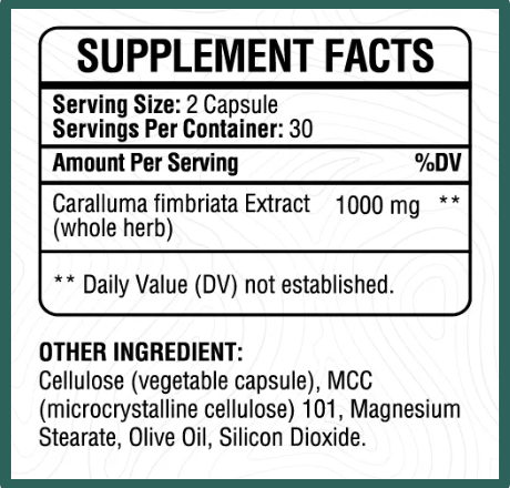 GlutLess Supplement 2