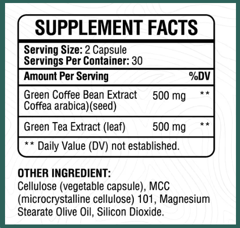 GlutLess supplement 1
