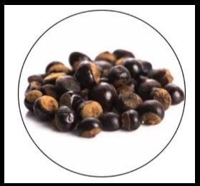 GutGo Guarana Seed Extract