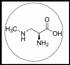 GutGo L-Glutamine