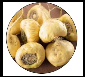 GutGo Lepidium Meyenii (Maca)