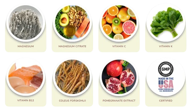 HydroLean XT Ingredients