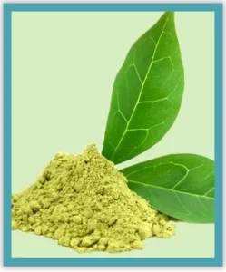 Organic Green Tea Extract